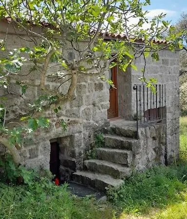 Bergerie En Pierres Et Oliveraie Porto-Vecchio (Corsica)