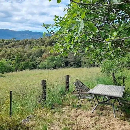 Bergerie En Pierres Et Oliveraie